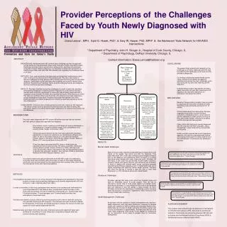 Provider Perceptions of the Challenges Faced by Youth Newly Diagnosed with HIV