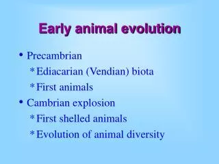 Early animal evolution