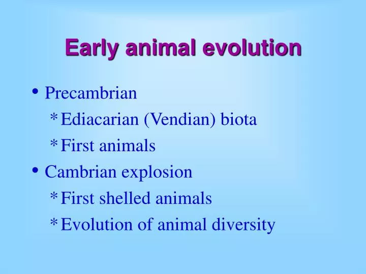 early animal evolution