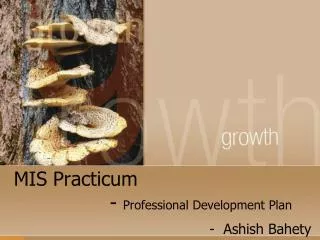MIS Practicum 			- Professional Development Plan