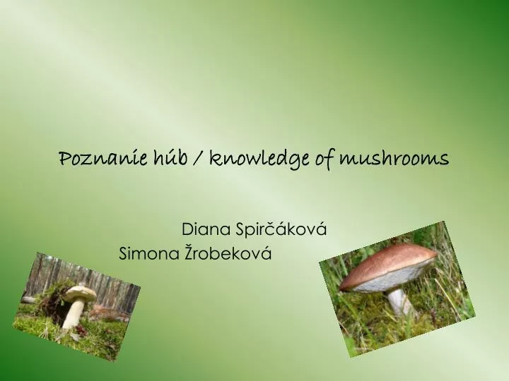 poznanie h b knowledge of mushrooms