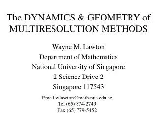 The DYNAMICS &amp; GEOMETRY of MULTIRESOLUTION METHODS