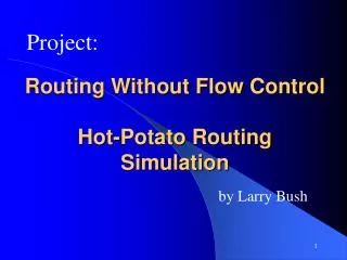 Routing Without Flow Control Hot-Potato Routing Simulation