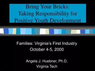 Bring Your Bricks: Taking Responsibility for Positive Youth Development