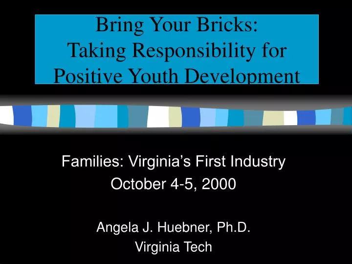 bring your bricks taking responsibility for positive youth development