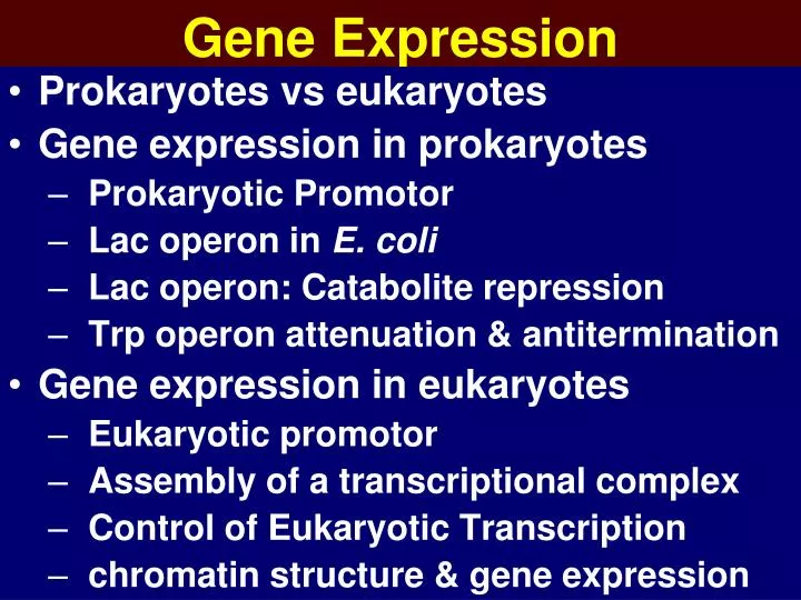 gene expression