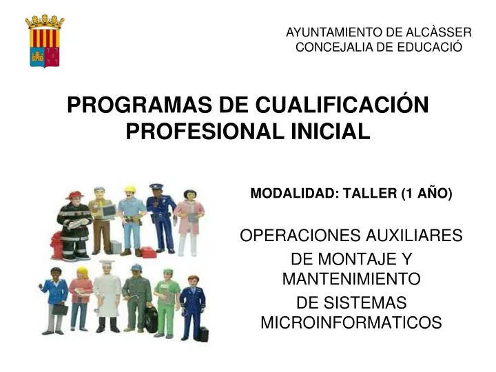 programas de cualificaci n profesional inicial