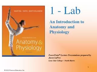 1 - Lab An Introduction to Anatomy and Physiology