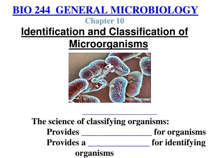 bio 244 general microbiology