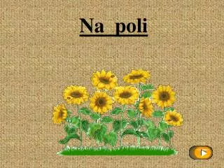 na poli