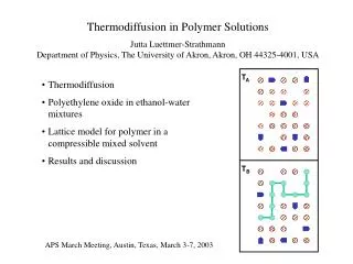 Thermodiffusion in Polymer Solutions
