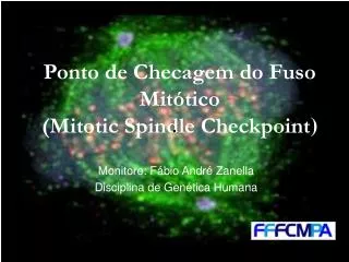 ponto de checagem do fuso mit tico mitotic spindle checkpoint