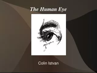 The Human Eye