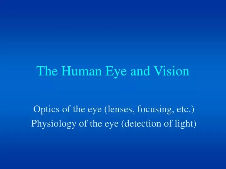the human eye and vision