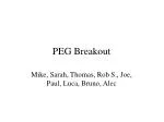 PEG Breakout - slide 1