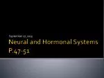 Understanding Neural and Hormonal Systems: Nervous System Divisions and Functions - slide 1