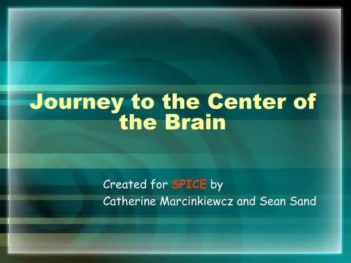 journey to the center of the brain