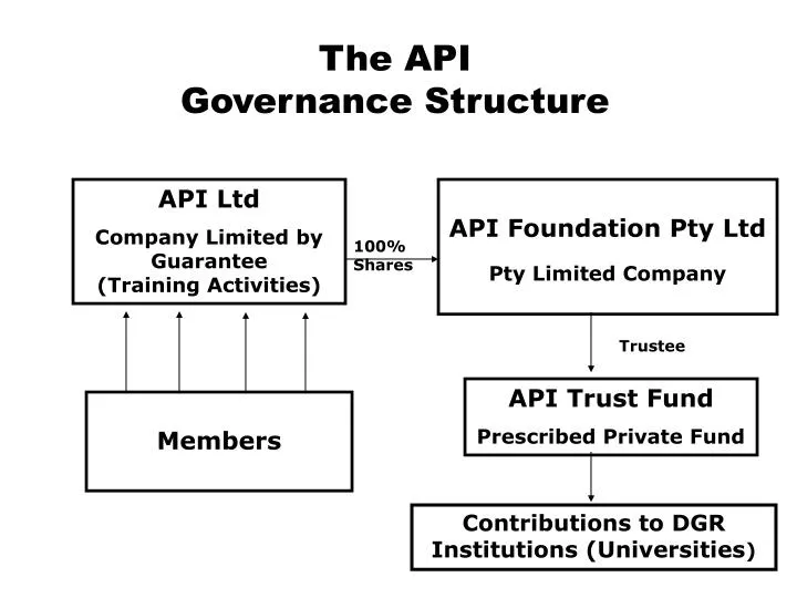 the api governance structure