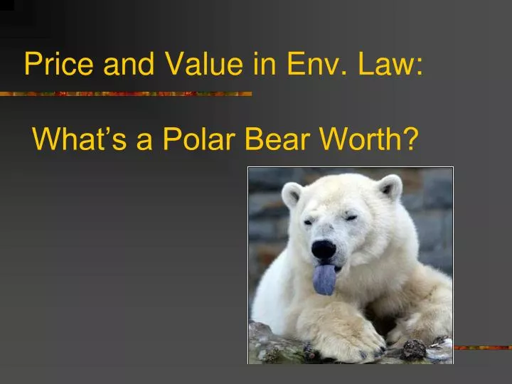 price and value in env law what s a polar bear worth