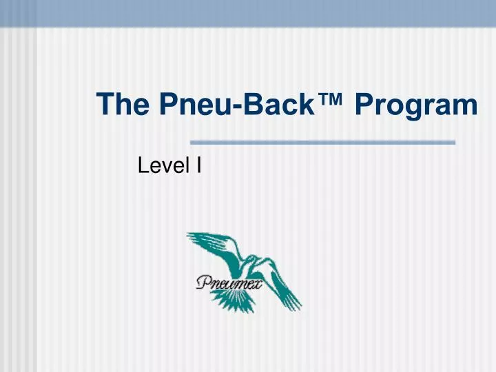 the pneu back program