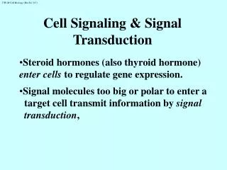 Cell Signaling &amp; Signal Transduction