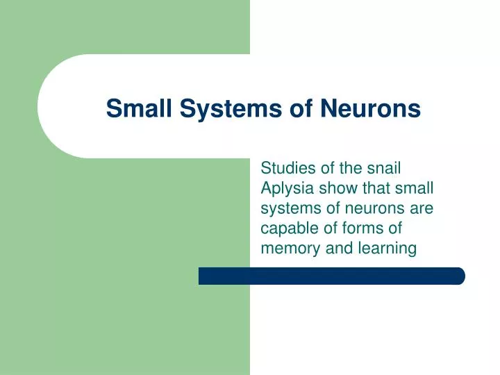 small systems of neurons