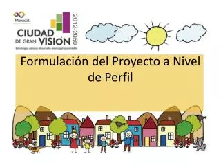 formulaci n del proyecto a nivel de perfil