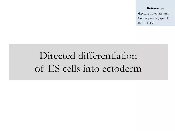 directed differentiation of es cells into ectoderm