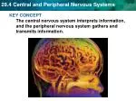 The nervous system’s two parts work together. - slide 1