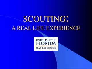 SCOUTING : A REAL LIFE EXPERIENCE