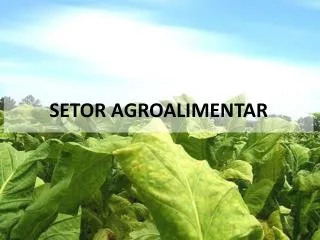 setor agroalimentar