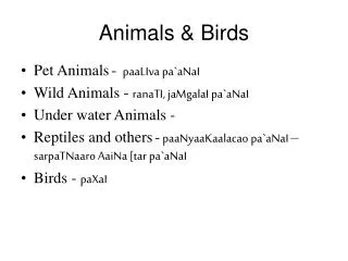 Animals &amp; Birds