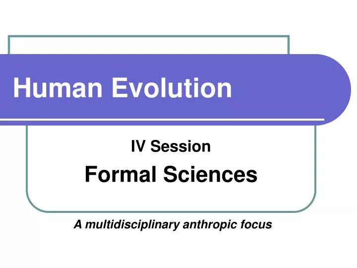 human evolution