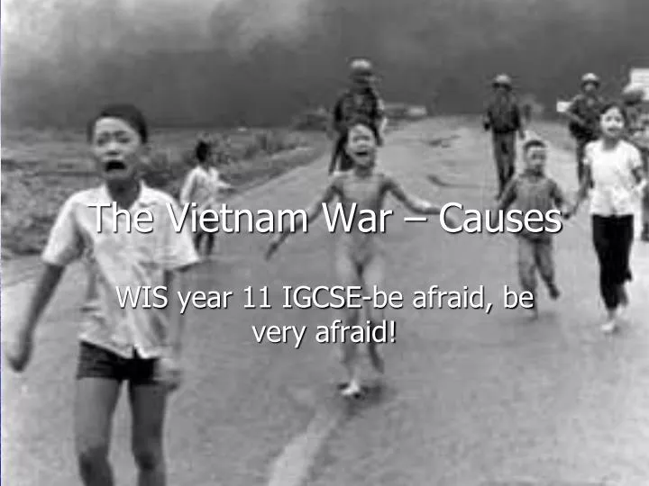 the vietnam war causes