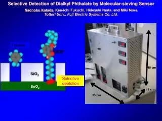 Selective Detection of Dialkyl Phthalate by Molecular-sieving Sensor