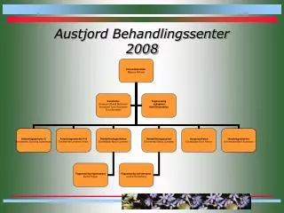 Austjord Behandlingssenter 2008