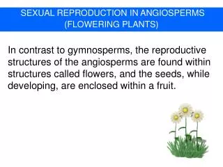 SEXUAL REPRODUCTION IN ANGIOSPERMS (FLOWERING PLANTS)