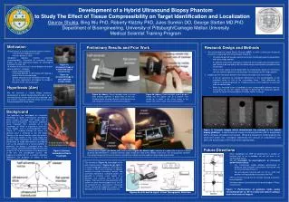 Development of a Hybrid Ultrasound Biopsy Phantom