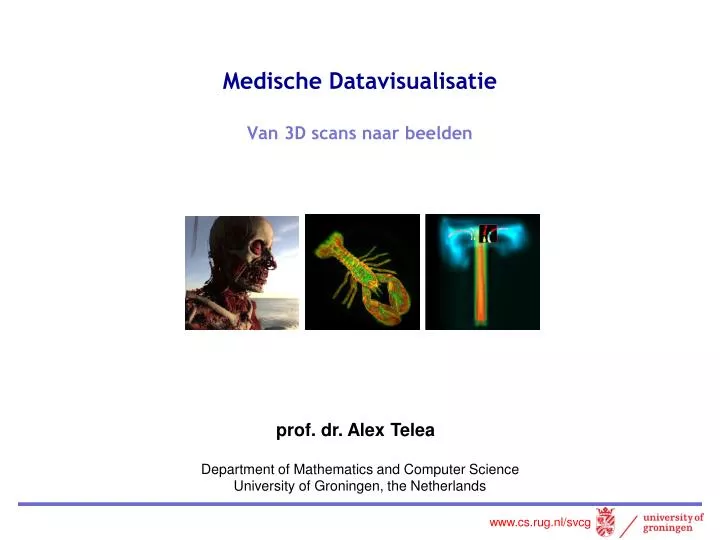 medische datavisualisatie van 3d scans naar beelden