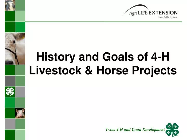 history and goals of 4 h livestock horse projects