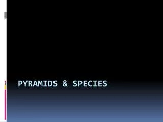 Pyramids &amp; Species