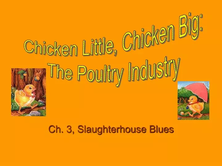 ch 3 slaughterhouse blues
