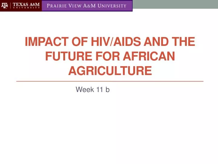 impact of hiv aids and the future for african agriculture