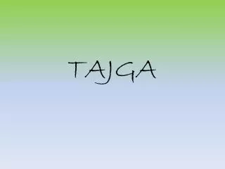 tajga