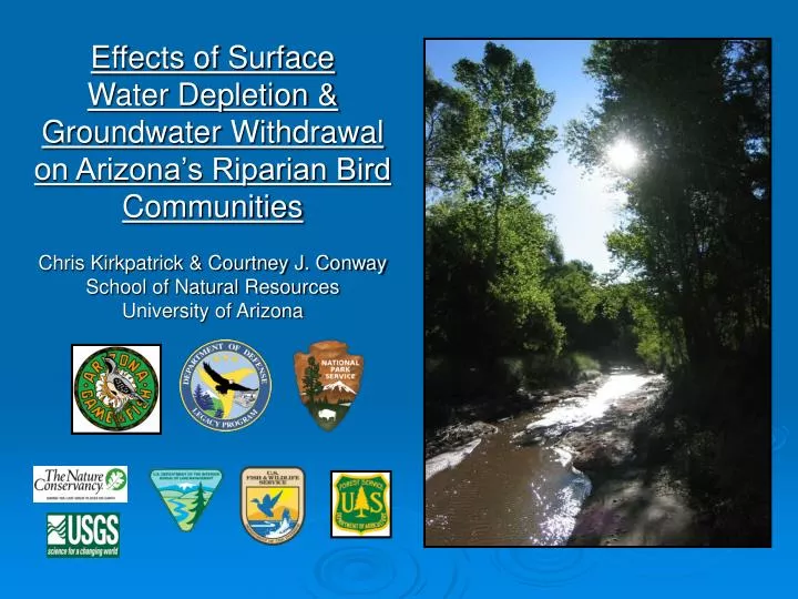 effects of surface water depletion groundwater withdrawal on arizona s riparian bird communities