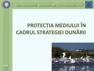protec ia mediului n cadrul strategiei dun rii