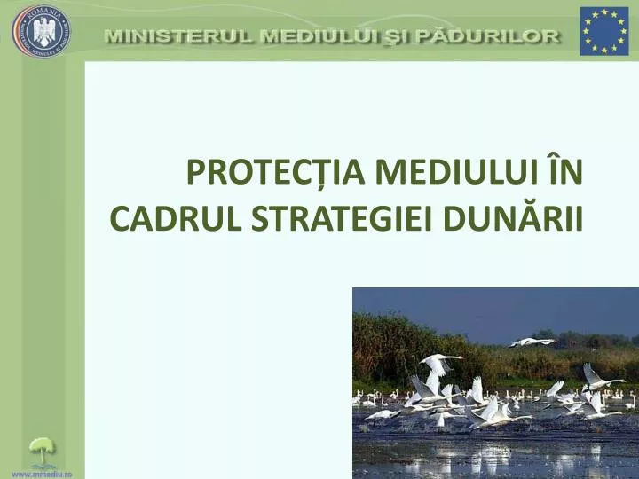 protec ia mediului n cadrul strategiei dun rii