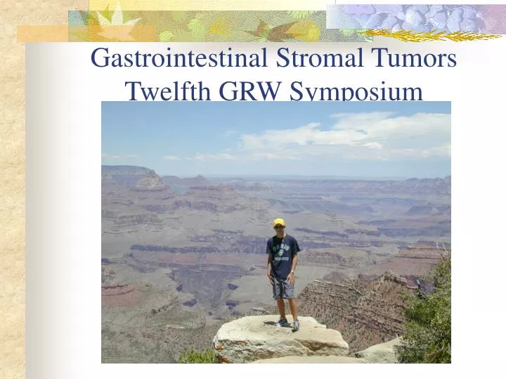 gastrointestinal stromal tumors twelfth grw symposium