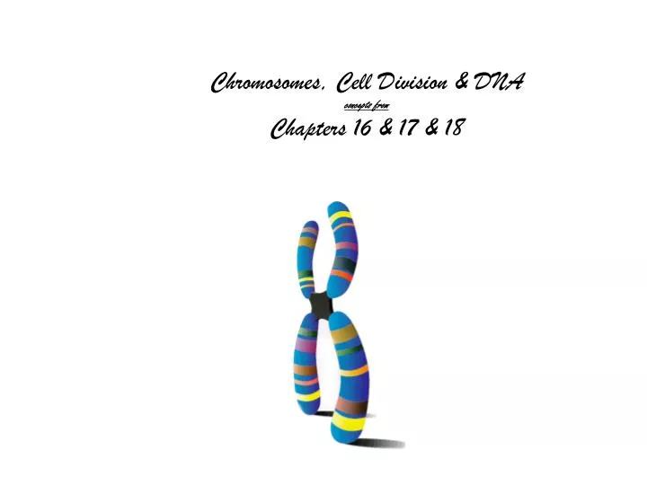chromosomes cell division dna concepts from chapters 16 17 18