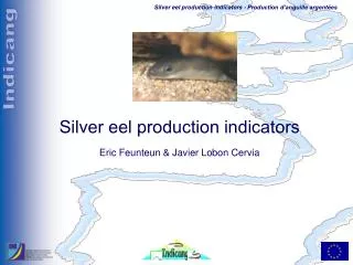 Silver eel production indicators Eric Feunteun &amp; Javier Lobon Cervia